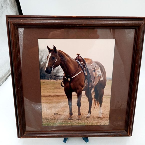 Beautiful Horse Photograph Framed Found Photo Art Cowboy Western Ranch Decor 14 - Picture 10 of 13